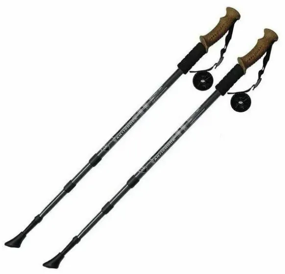 Палки для скандинавской ходьбы F18439