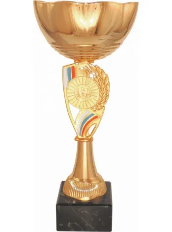 Кубок К 509/210