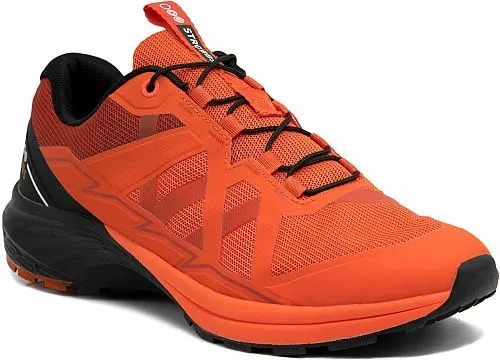 C3557-21 (41-45) кроссовки STROBBS, 45