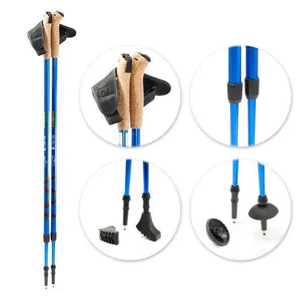 Палки для скандинавской хотьбы Ergo Nordic 110-140см с амортиз. Е-0673