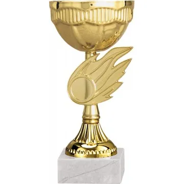 Кубок К 355/170